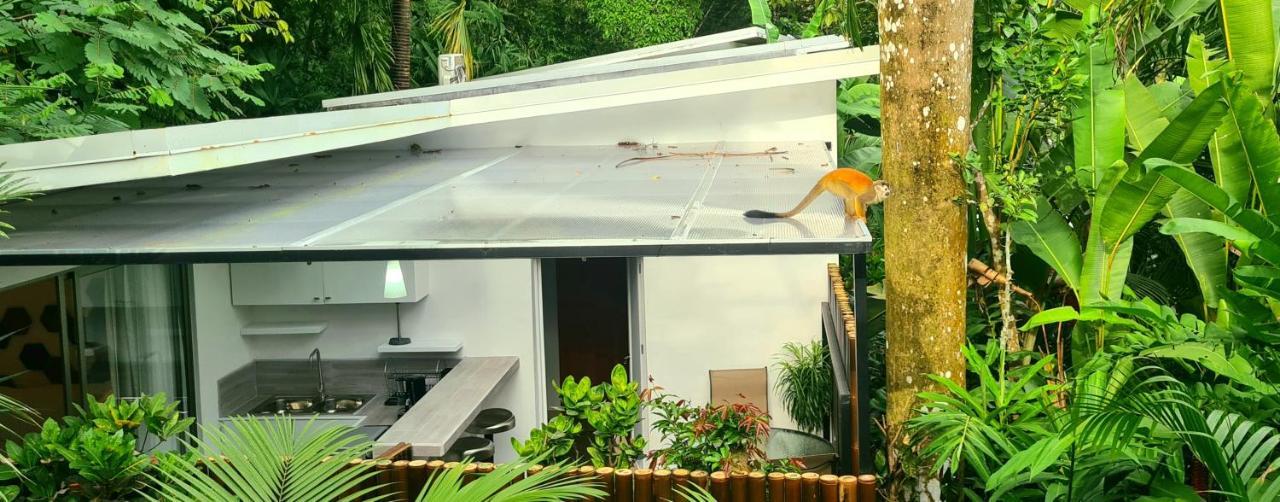 La Vela Boutique Hotel (Adults Only) Vườn quốc gia Vườn quốc gia Manuel Antonio Ngoại thất bức ảnh
