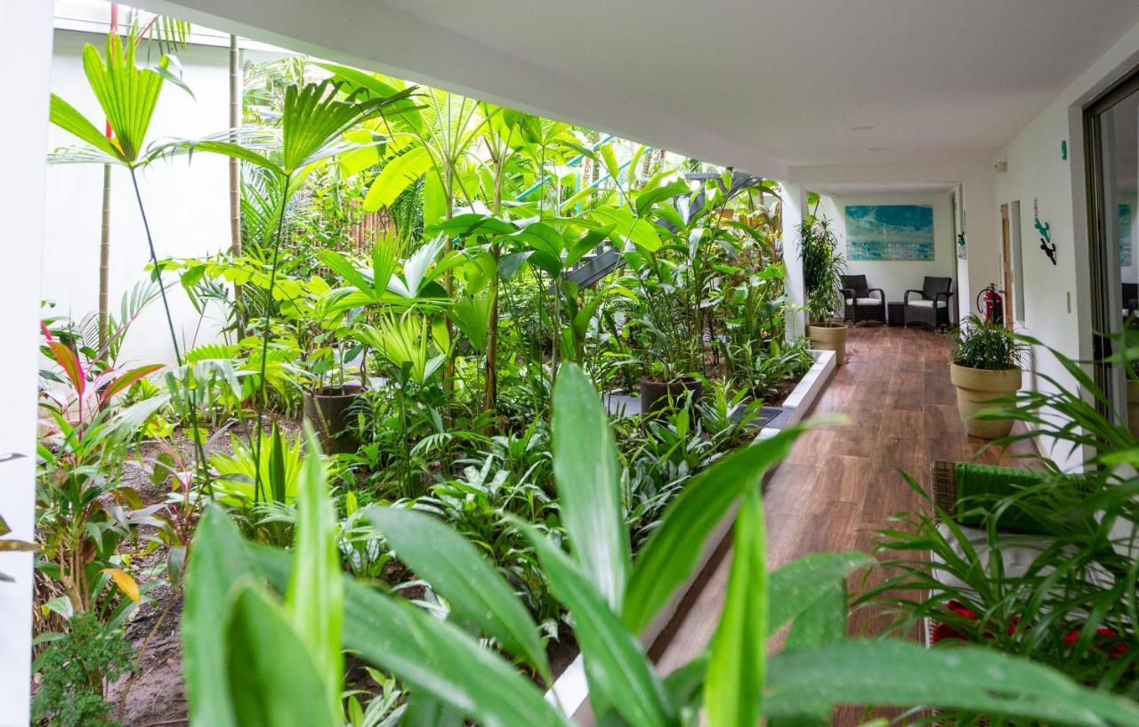 La Vela Boutique Hotel (Adults Only) Vườn quốc gia Vườn quốc gia Manuel Antonio Ngoại thất bức ảnh