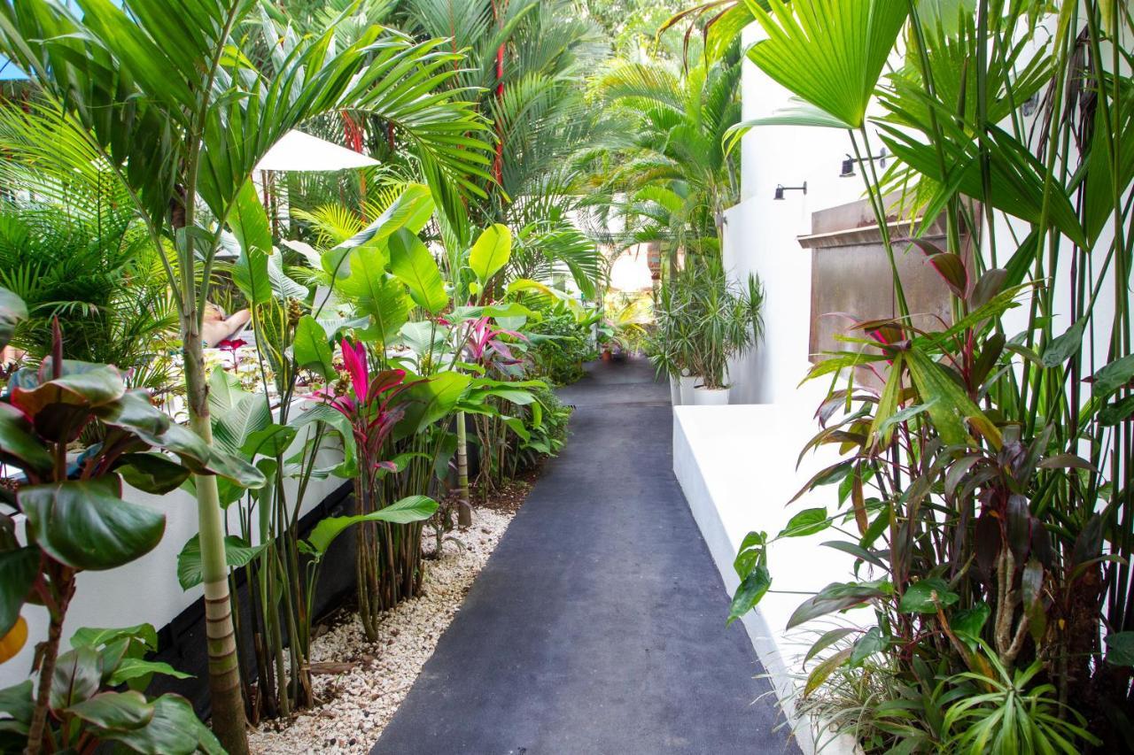 La Vela Boutique Hotel (Adults Only) Vườn quốc gia Vườn quốc gia Manuel Antonio Ngoại thất bức ảnh