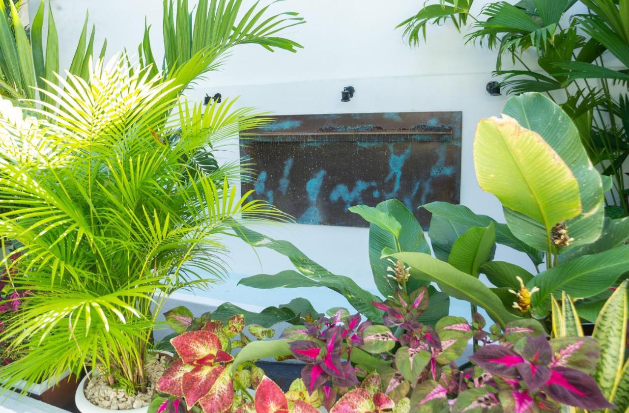 La Vela Boutique Hotel (Adults Only) Vườn quốc gia Vườn quốc gia Manuel Antonio Ngoại thất bức ảnh